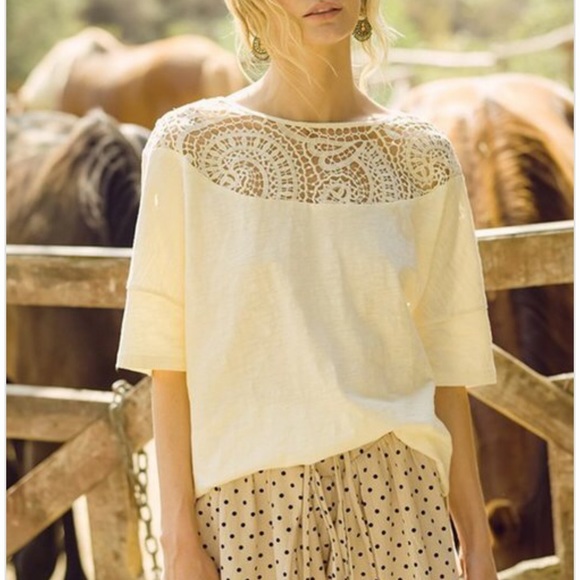 NEW Gorgeous Lace Yoke Embroidered Crochet Top - Picture 3 of 11